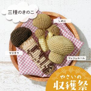 オリムパス やさいの収穫祭 三種のきのこ｜あみぐるみ キット 野菜 編みぐるみ エミーグランデ レース糸 あみもの 手編み かぎ針編み｜shugale1