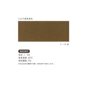 SEIWA ローパスFカラー 12 茶 10g...の詳細画像1
