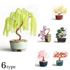 MIYUKI ネジッテ nejitte BONSAIキット 人気シリーズ