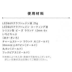 【レシピ】 さくらんぼのピアス | 作り図 レ...の詳細画像1