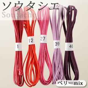 ビーズ 糸 コード ソウタシエ ブレード アソート ベリーmix