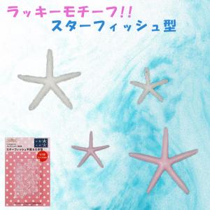 粘土 レジン 型 クレイジュエリー型抜き スターフィッシュ平面＆立体型