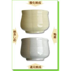 陶芸 粘土 美濃志野土 20kg