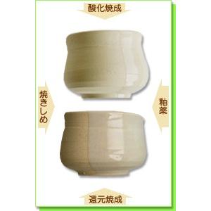 陶芸 粘土 信楽粘土 特漉 20kg