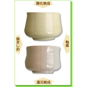 陶芸 粘土 信楽粘土 並漉 20kg