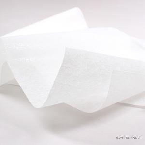 刺しゅう用接着芯 L BM3 28×100cm...の詳細画像1