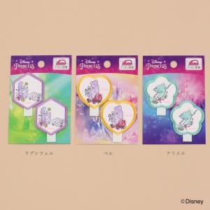 ディズニープリンセス 名札付け ワッペン   Disney ディズニー 名札付けワッペン プリンセス アイロン接着 Disney プリンセス ワッペン