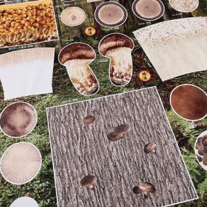 生地 布 インクジェットパネル おいしいキノコ 108×95cm カットクロス | 布地 はぎれ カット布 インクジェットプリント コットン100％
