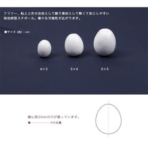 たまご型スチボール 6×5cm 穴あき 10ヶ...の詳細画像1