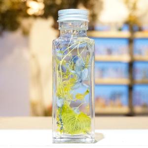 ハーバリウムスターターキット ハートリーフ | フラワー セット インテリア ギフト ハンドメイド 植物標本 初心者 キッズ 小学生