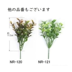 エルベール グリーンピック NR-120 フェ...の詳細画像1