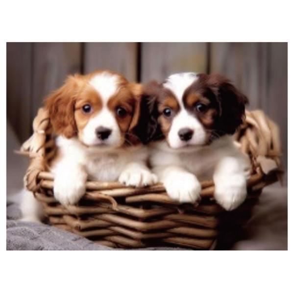 キラキラビーズアート 仲良しワンコ SCB-494 キャンバスサイズ 40×30cm エルベール