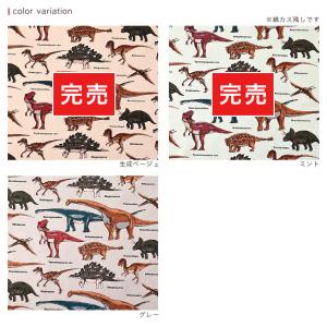 【在庫限り】 恐竜 ツイル グレー 50cm単...の詳細画像5