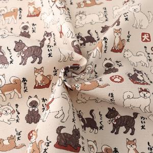 日本犬図鑑 ご当地いぬ オックス 50cm単位...の詳細画像2