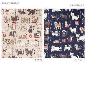 日本犬図鑑 ご当地いぬ オックス 50cm単位...の詳細画像5