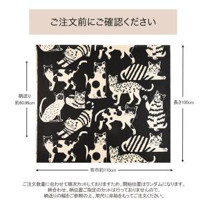 echino NekoNoe CATCAT 綿...の詳細画像5