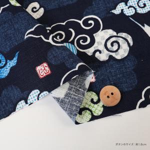 いろは日和 富士山と雲 ツムギクロス 50cm...の詳細画像3