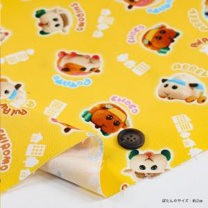 PUIPUIモルカー オックス 50cm単位|...の詳細画像4