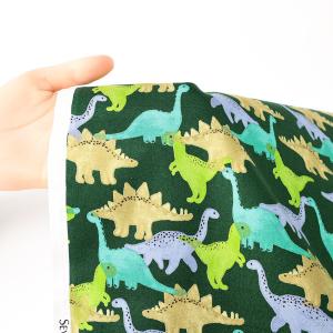 Little Zoo Dinosaur オック...の詳細画像4