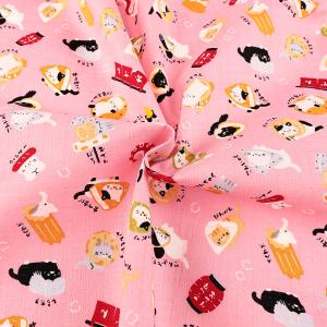 WAものがたり ねこおでん サザンクロス 50...の詳細画像2