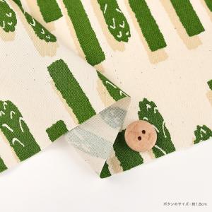 Aspara Stripe オックス 50cm...の詳細画像3