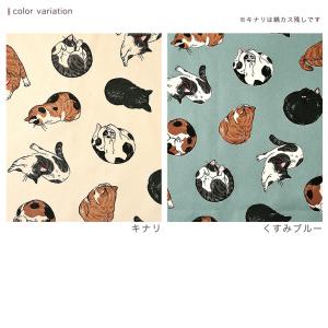 猫柄 オックス 50cm単位 | 切売り 切り...の詳細画像5