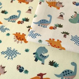 Nuance Kids ほっこり恐竜柄 CB 50cm単位 | 切売り 切り売り 生地 布 布地 コットン100％ かわいい