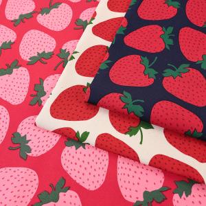 Strawberry Party! いちごビッグ オックス 50cm単位 | 切売り 切り売り 生地 布 布地 コットン100％ 大柄