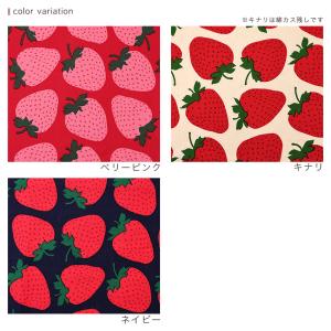 Strawberry Party! いちごビッ...の詳細画像5