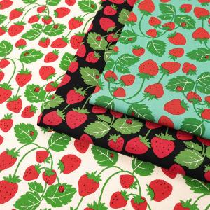 Strawberry Party! いちご畑 オックス 50cm単位 | 切売り 切り売り 生地 布 布地 コットン100％