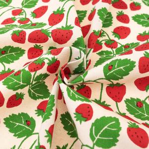 Strawberry Party! いちご畑 ...の詳細画像2