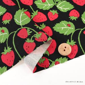 Strawberry Party! いちご畑 ...の詳細画像3