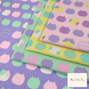 生地 布 ねこたま パステルカラー オックス 50cm単位 | 切売り 切り売り 布地 かわいい 猫 ネコ 柄 水玉 ドット キャット