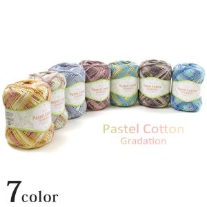 ウイスター パステルコットン<グラデーション>|...の商品画像