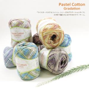 ウイスター パステルコットン<グラデーション>...の詳細画像1