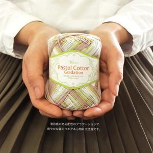 ウイスター パステルコットン<グラデーション>...の詳細画像2
