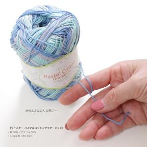 ウイスター パステルコットン<グラデーション>...の詳細画像3