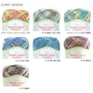 ウイスター パステルコットン<グラデーション>...の詳細画像5