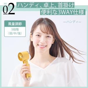 Toffy 3Way トフィー ひんやりハンデ...の詳細画像5
