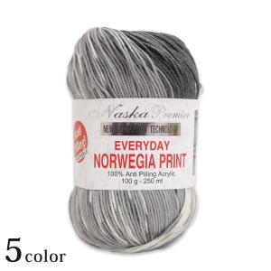 内藤商事 エブリディノルウェージア＜プリント＞｜毛糸 並太 あみもの ニット アクリル毛糸 段染め ●今編み