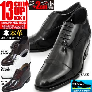 シークレットシューズ 16cmアップ 送料無料 シークレットビジネス