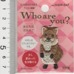 クワッカーワラビーの商品一覧 通販 Yahoo ショッピング