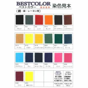 ベストカラー{綿・麻・レーヨン用}液体染料 60mlの詳細画像1