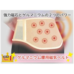 Phiten（ファイテン） ファイテンサポーター メタックス 腰用ミドル