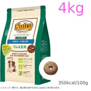 ナチュラルチョイス ニュートロ ナチュラルチョイス ラム＆玄米 中型犬