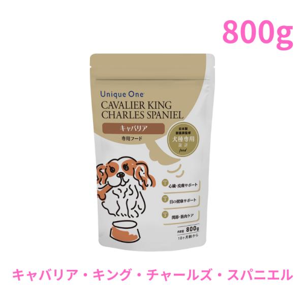 UniqueOne　キャバリア・キング・チャールズ・スパニエル　800g