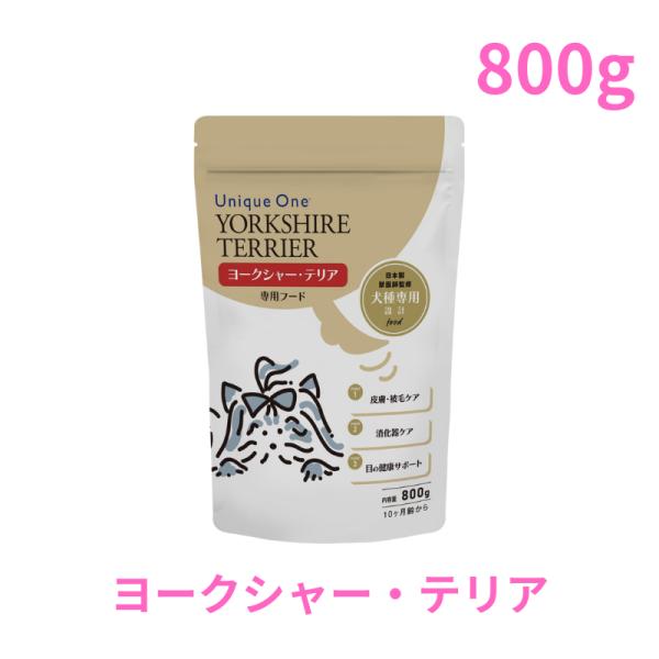 UniqueOne　ヨークシャー・テリア　800g