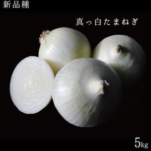 【売切れ】新品種北海道産真っ白な玉ねぎ5kg【送料無料】