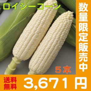 【予約受付中】ロイシーコーン5本しろいあま〜い約350~450gのとうもろこしロイシーコーン 5本【送料無料】北海道産朝収穫即日発送145139730016-C