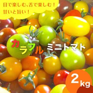 宝石箱のようなカラフルトマトセット（2kg）北海道産